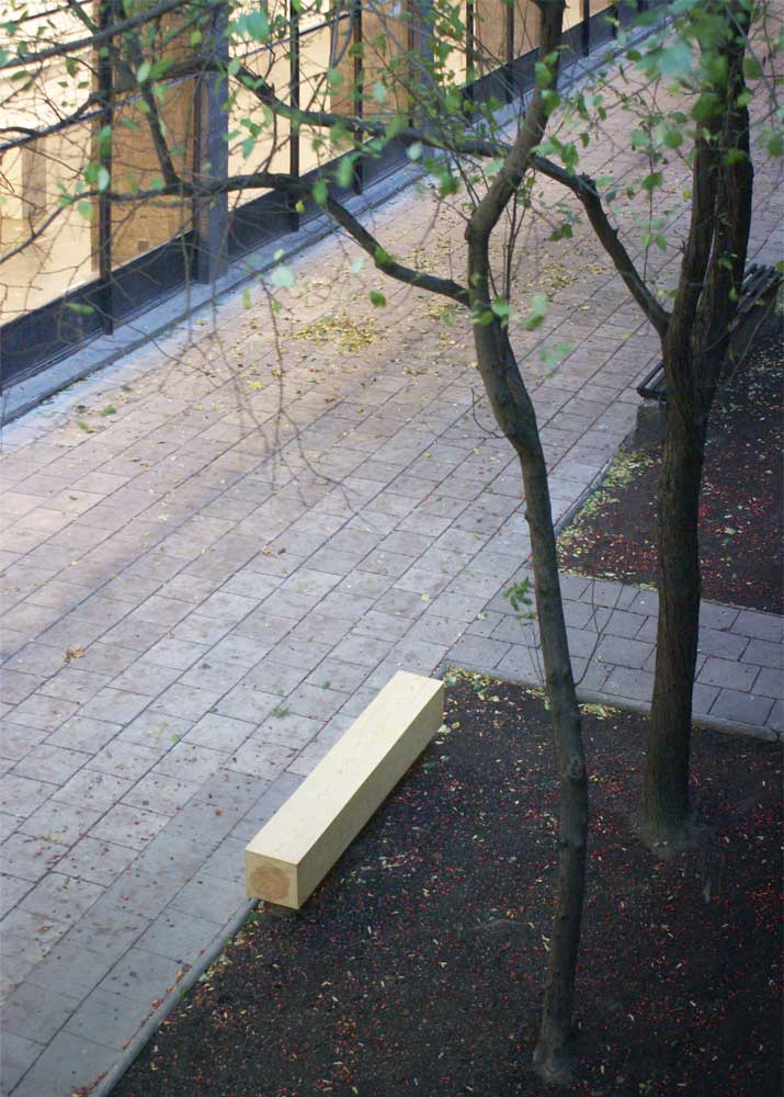 new design of the courtyard